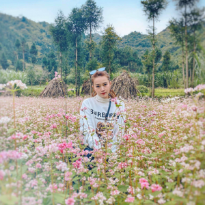 cho thuê xe máy Hà Giang