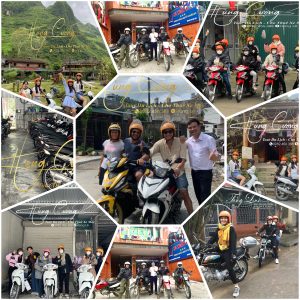 Hoa đào, hoa mận – Sắc xuân tràn ngập Cao nguyên đá Mùa xuân, khi tiết trời Hà Giang bắt đầu se lạnh, hoa đào và hoa mận nở rộ khắp các sườn đồi. Đặc biệt, trên cao nguyên đá, những cánh đào hồng phấn, những bông mận trắng ngần nổi bật giữa nền đá xám bạc, tạo thành một khung cảnh như bước ra từ những câu chuyện cổ tích. Hoa đào nở không chỉ ở vùng thấp mà còn vươn mình lên tận các dãy núi cao, tạo thành những rừng hoa đẹp mê mẩn lòng người. Hoa cải vàng – Sắc màu của mùa thu hoạch Cải vàng, một loài hoa đặc trưng của Hà Giang, là biểu tượng của vùng đất cao nguyên đá. Vào mùa đông, hoa cải nở vàng rực rỡ trên các triền đồi, tạo thành một biển hoa vàng ấm áp, trái ngược hoàn toàn với màu sắc lạnh lẽo của đá. Những ruộng cải vàng như tấm thảm trải dài dưới ánh nắng, là nơi chắt chiu những giọt mồ hôi của người nông dân vùng cao trong mùa thu hoạch. Hoa cải vàng cũng là minh chứng cho sự sống mạnh mẽ, kiên cường giữa những khó khăn của đất và người nơi đây.